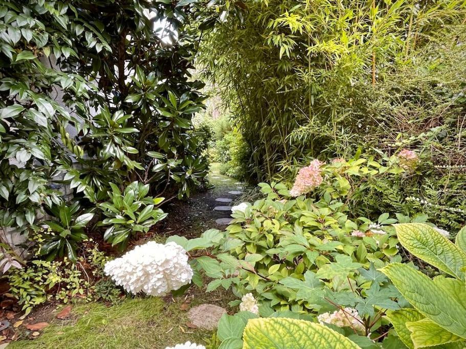 Appartement Cosy, Independant Avec Jardin Meudon Eksteriør bilde